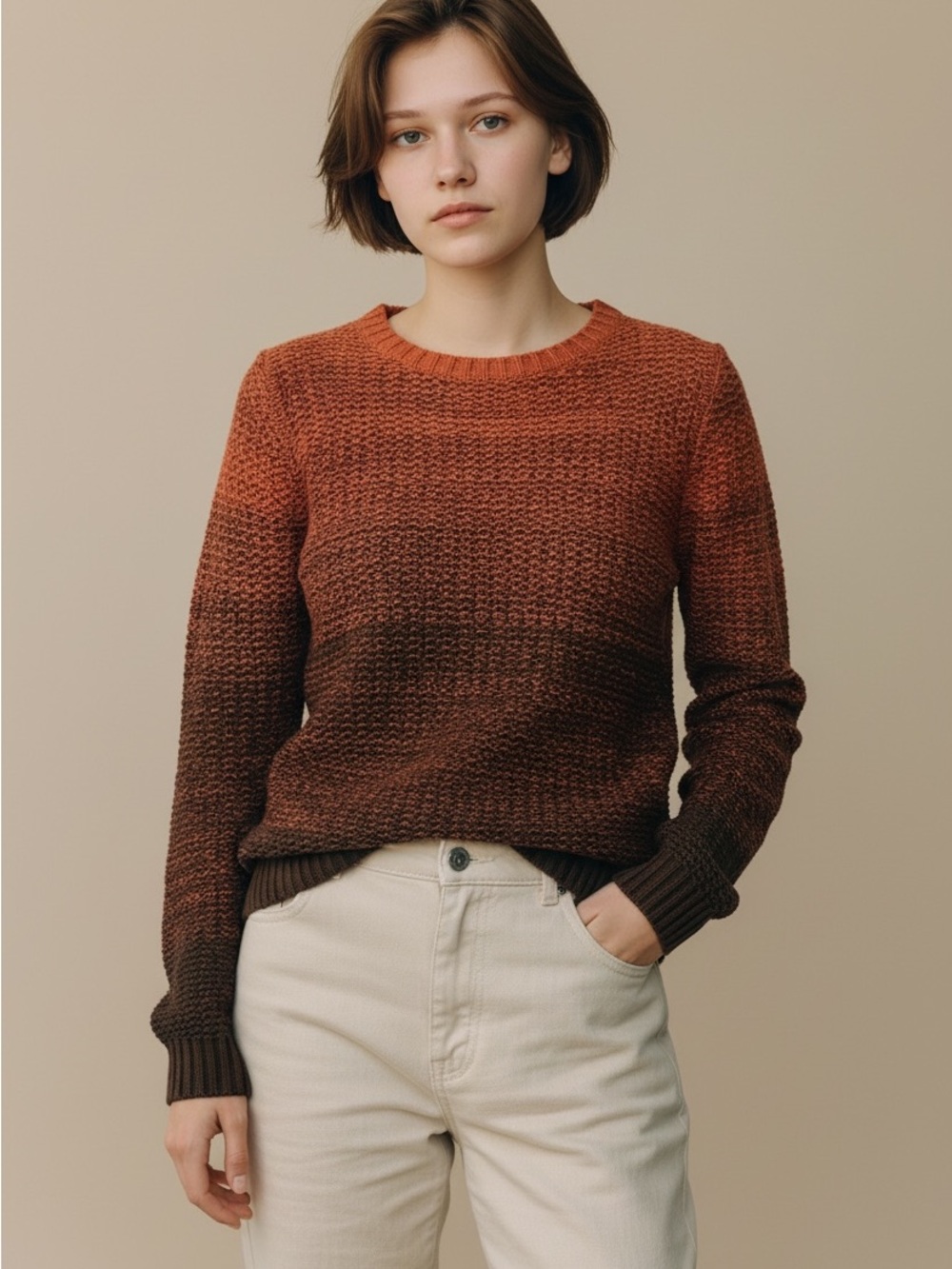 Bailey44 Ombre Brown Crewneck Sweater Size S NWOT